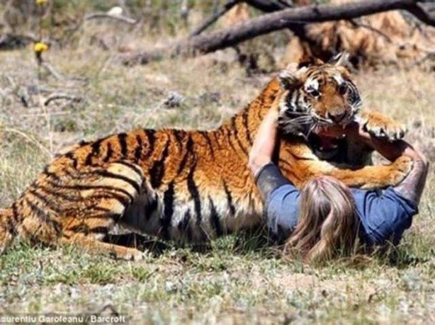 Foto - Vahşi doğanın acımasızlığı!