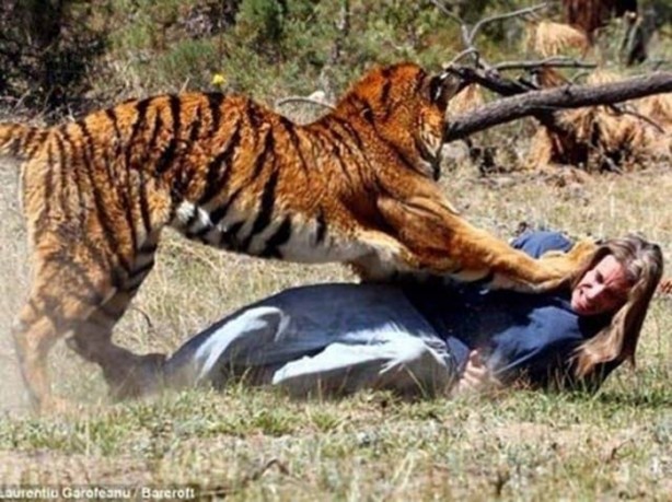 Foto - Vahşi doğanın acımasızlığı!