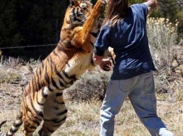 Foto - Vahşi doğanın acımasızlığı!