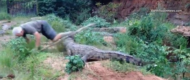 Foto - Vahşi doğanın acımasızlığı!