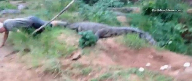 Foto - Vahşi doğanın acımasızlığı!