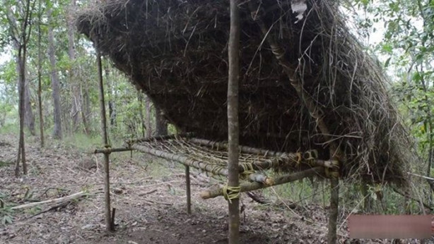 Foto - Vahşi ortamda rahat uyumak için bakın ne yaptı!
