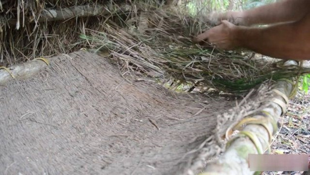 Foto - Vahşi ortamda rahat uyumak için bakın ne yaptı!
