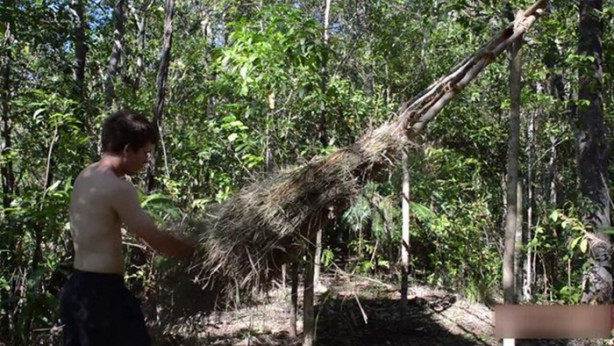 Foto - Vahşi ortamda rahat uyumak için bakın ne yaptı!
