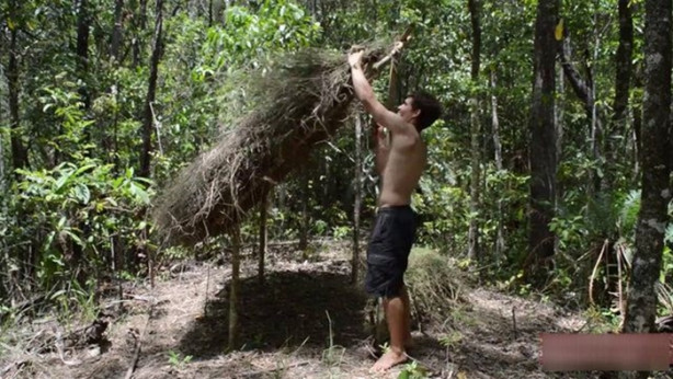 Foto - Vahşi ortamda rahat uyumak için bakın ne yaptı!