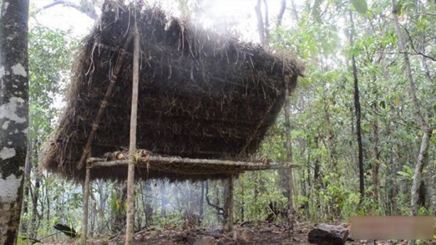 Foto - Vahşi ortamda rahat uyumak için bakın ne yaptı!