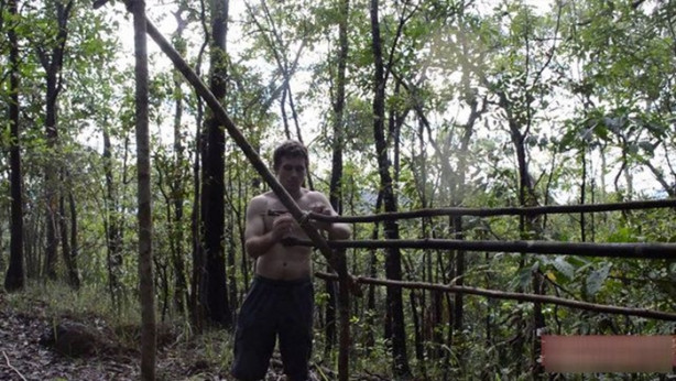 Foto - Vahşi ortamda rahat uyumak için bakın ne yaptı!