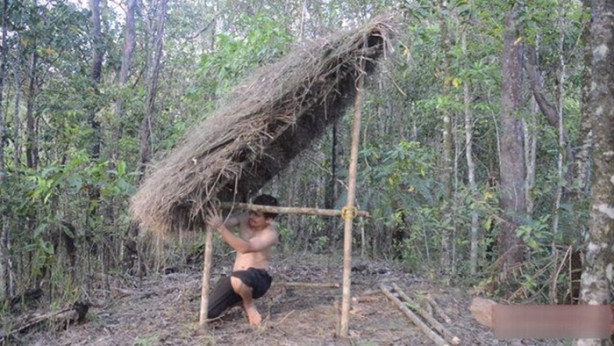 Foto - Vahşi ortamda rahat uyumak için bakın ne yaptı!