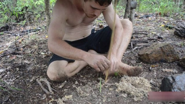 Foto - Vahşi ortamda rahat uyumak için bakın ne yaptı!