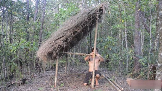 Foto - Vahşi ortamda rahat uyumak için bakın ne yaptı!