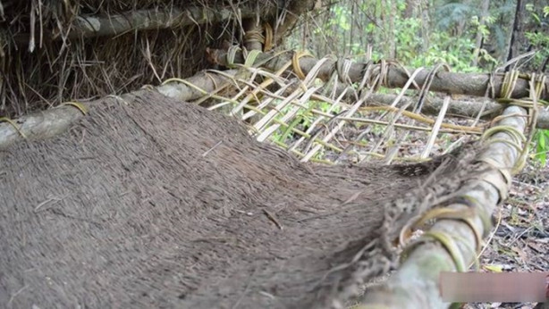 Foto - Vahşi ortamda rahat uyumak için bakın ne yaptı!