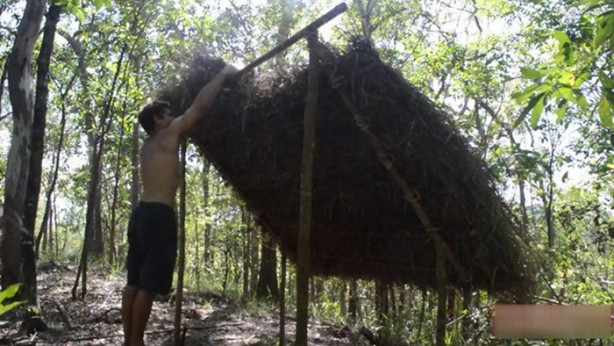 Foto - Vahşi ortamda rahat uyumak için bakın ne yaptı!