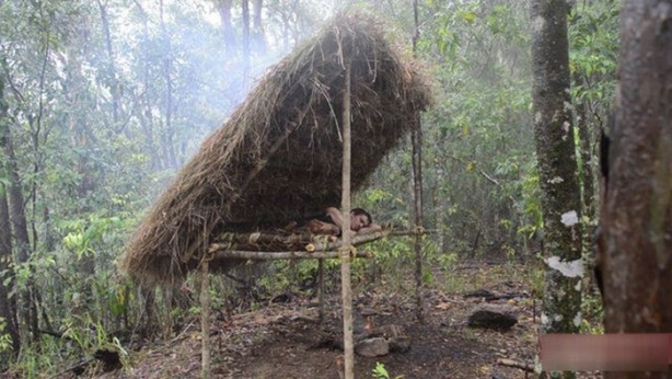 Foto - Vahşi ortamda rahat uyumak için bakın ne yaptı!