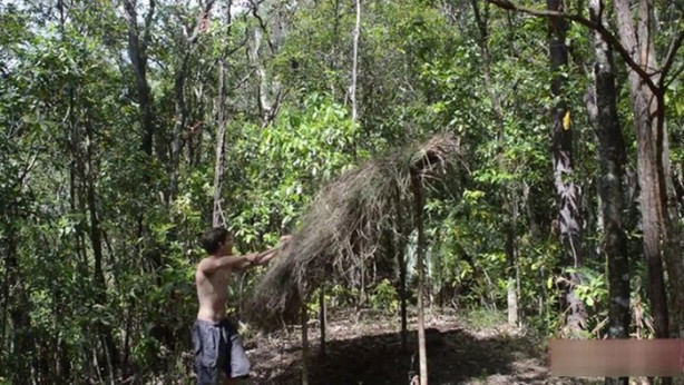 Foto - Vahşi ortamda rahat uyumak için bakın ne yaptı!
