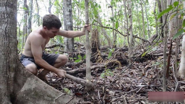  Vahşi ortamda rahat uyumak için bakın ne yaptı!