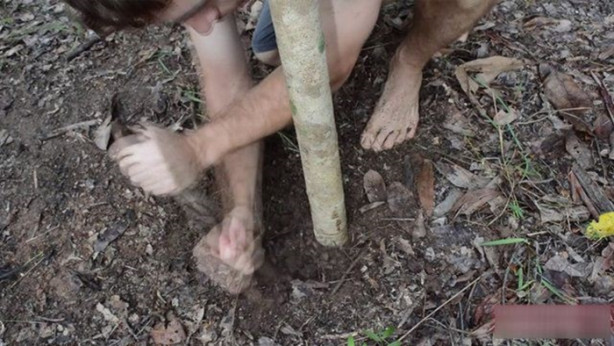 Foto - Vahşi ortamda rahat uyumak için bakın ne yaptı!