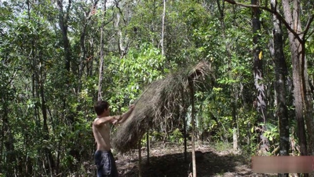 Foto - Vahşi ortamda rahat uyumak için bakın ne yaptı!