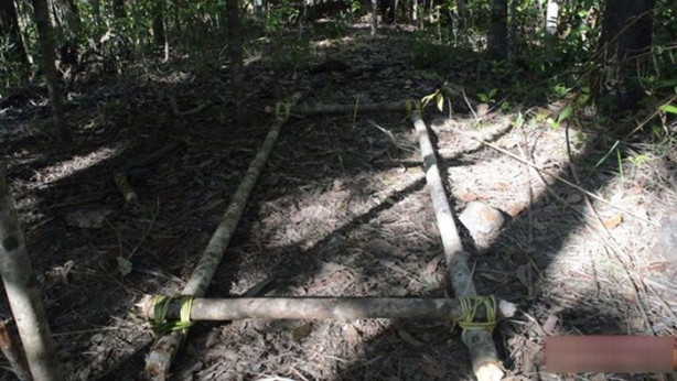 Foto - Vahşi ortamda rahat uyumak için bakın ne yaptı!