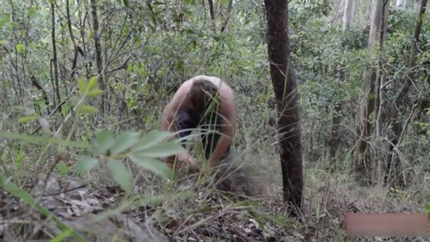 Foto - Vahşi ortamda rahat uyumak için bakın ne yaptı!