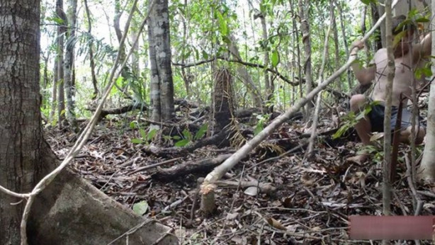 Foto - Vahşi ortamda rahat uyumak için bakın ne yaptı!