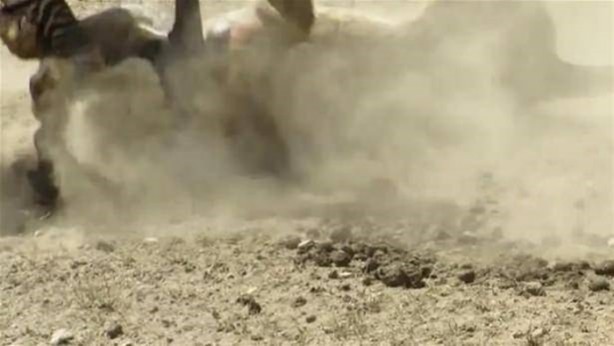 Foto - Vahşi yaşamdan çarpıcı av kareleri