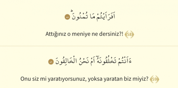 Foto - Vakıa Suresi Arapça okunuşu: Vakıa Suresi Türkçe meali!