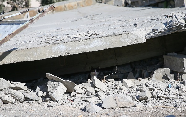 Foto - Vakit kaybetmeden uzmana danışın! Deprem sonrası bu belirtilere dikkat