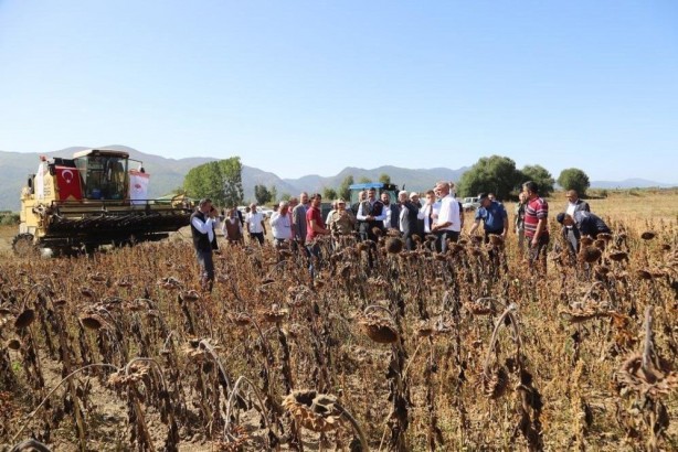 Foto - Vali Çelik, biçerdöverin direksiyonuna geçti