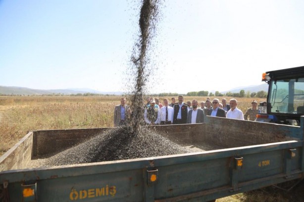 Foto - Vali Çelik, biçerdöverin direksiyonuna geçti