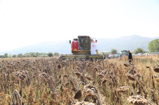 Foto - Vali Çelik, biçerdöverin direksiyonuna geçti