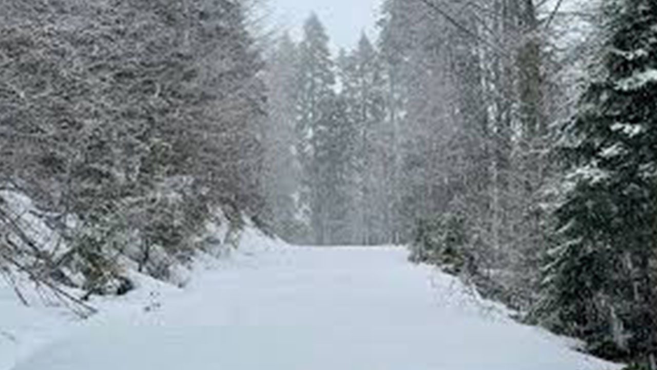 Foto - Valiliklerden peş peşe son dakika açıklamaları geliyor! Çok sayıda ilde okullar tatil edildi