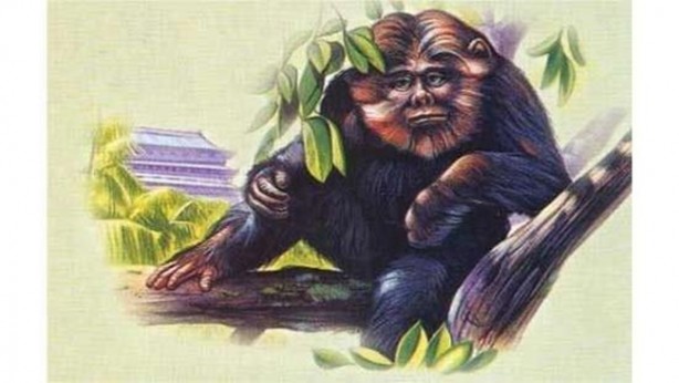 Foto - Vampir sandılar ama...