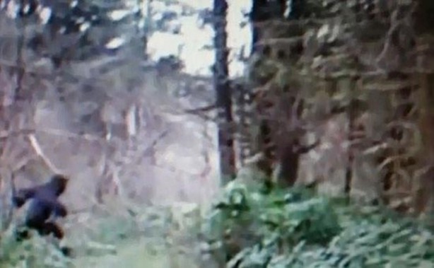 Foto - Vampir sandılar ama...