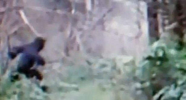 Foto - Vampir sandılar ama...