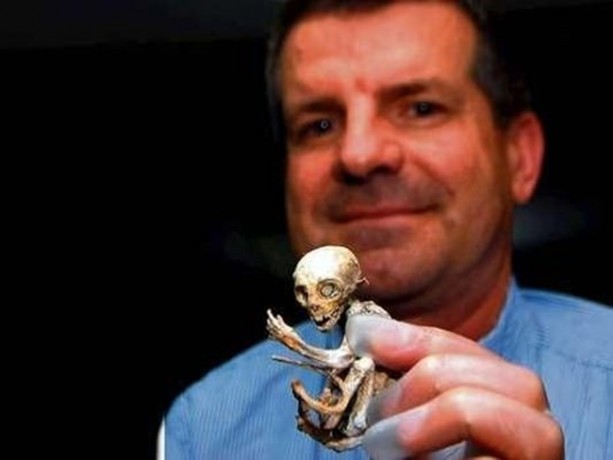 Foto - Vampir sandılar ama...