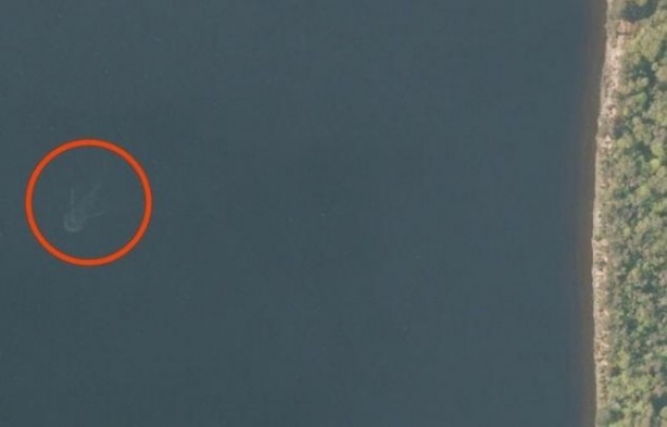 Foto - Vampir sandılar ama...