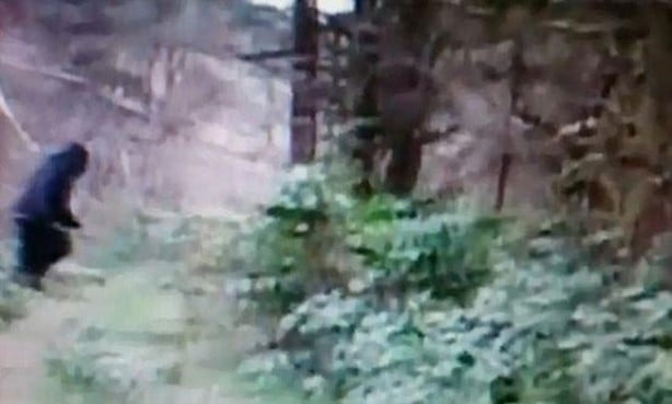 Foto - Vampir sandılar ama...