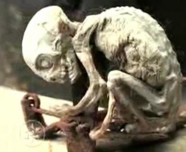 Foto - Vampir sandılar ama...