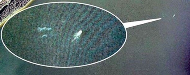 Foto - Vampir sandılar ama...