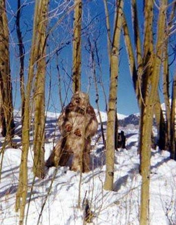 Foto - Vampir sandılar ama...