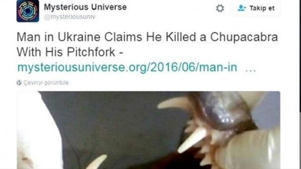 Foto - Vampir sandılar ama...