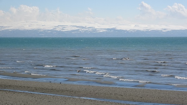 Foto - Van Gölü Havzası nefes almaya başladı