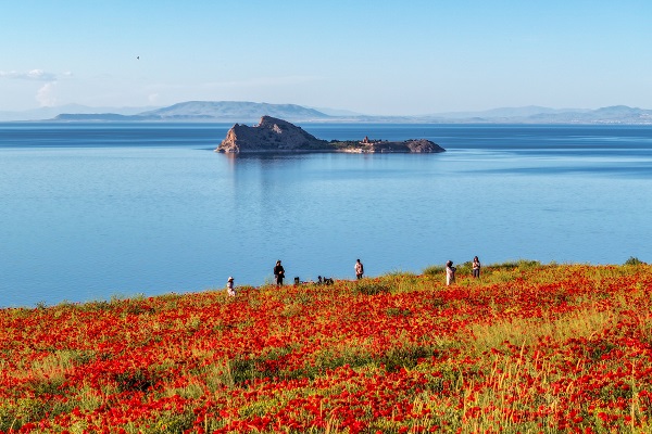 Foto - Van Gölü kıyıları kırmızıya boyandı