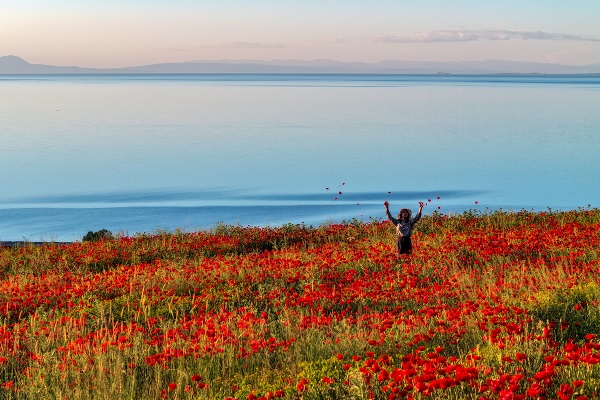 Foto - Van Gölü kıyıları kırmızıya boyandı