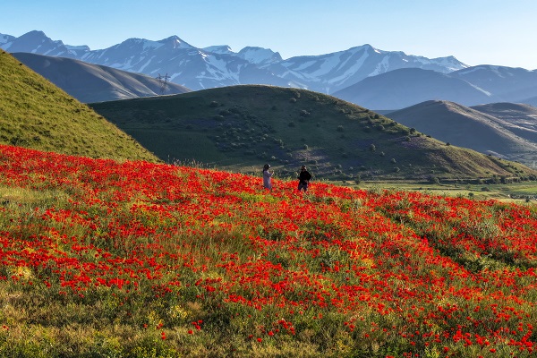 Foto - Van Gölü kıyıları kırmızıya boyandı