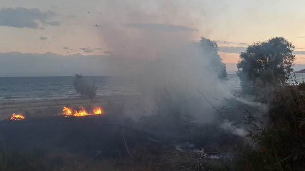 Foto - Van Gölü sahilinde yangın