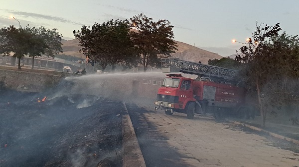 Foto - Van Gölü sahilinde yangın