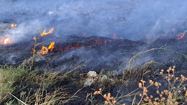 Van Gölü sahilinde yangın
