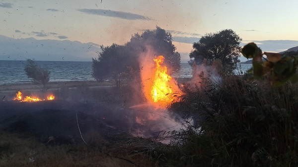 Foto - Van Gölü sahilinde yangın