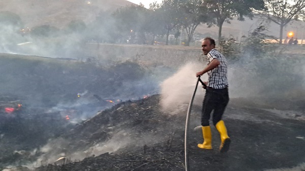 Foto - Van Gölü sahilinde yangın